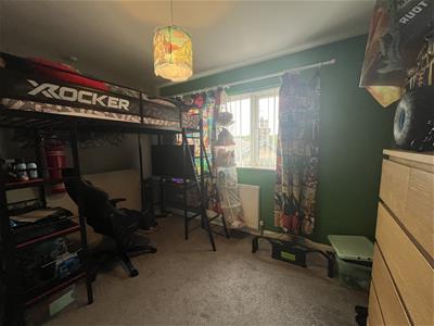 Picture 15